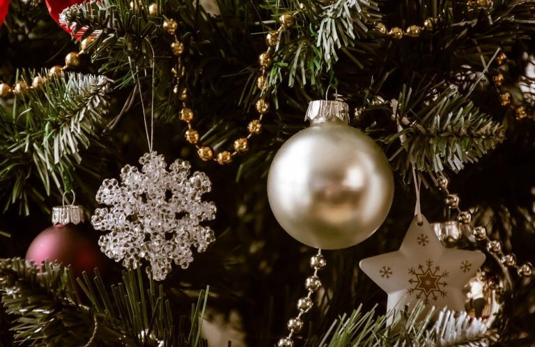 Haal de mooiste Kerstboom in Arnhem