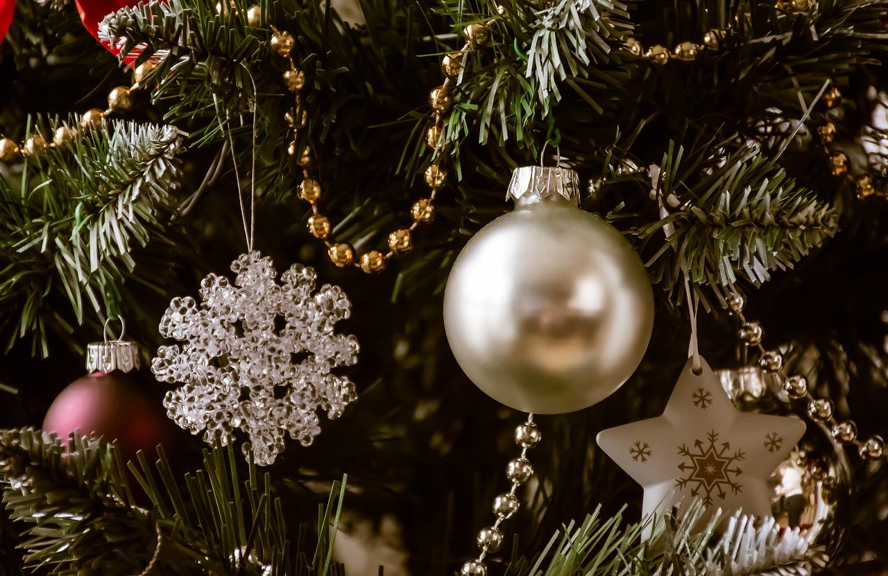 Haal de mooiste Kerstboom in Arnhem