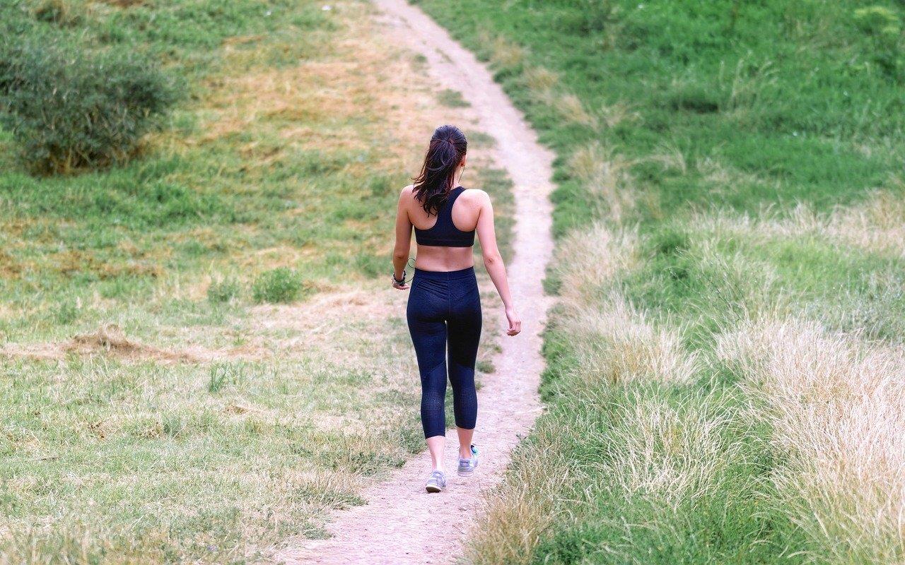 Wandelroutes in Arnhem